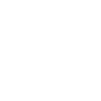Zeemium Industries Logo